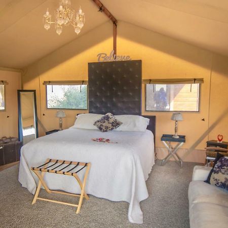 מלון ניו פלימות' Country Retreat Glamping מראה חיצוני תמונה