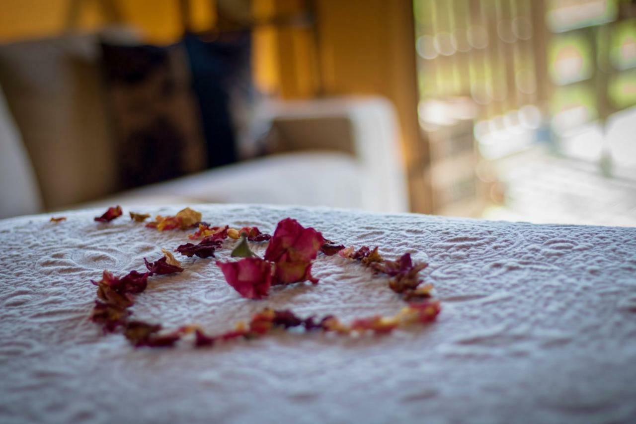 מלון ניו פלימות' Country Retreat Glamping מראה חיצוני תמונה